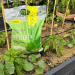 Melior+ - Image 3